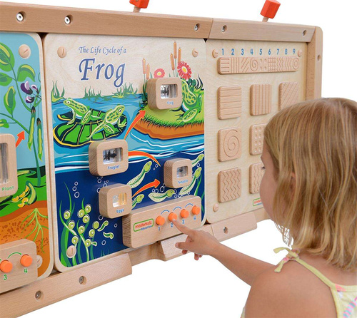 Cykl Życia Żaby Tablica Edukacyjna Masterkidz