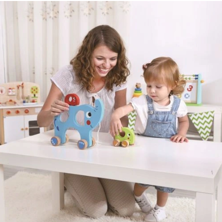 TOOKY TOY Rodzina Słoni Do Ciągnięcia Sorter 2w1 Zabawka Magnetyczna