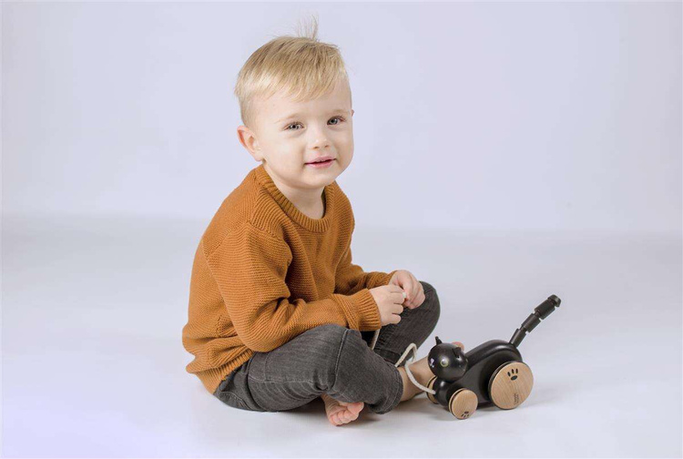 CLASSIC WORLD Drewniany Kotek Do Ciągania