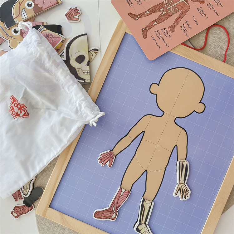 Tooky Toy Drewniane Puzzle Montessori Magnetyczne Nauka Anatomia Człowieka 78el.