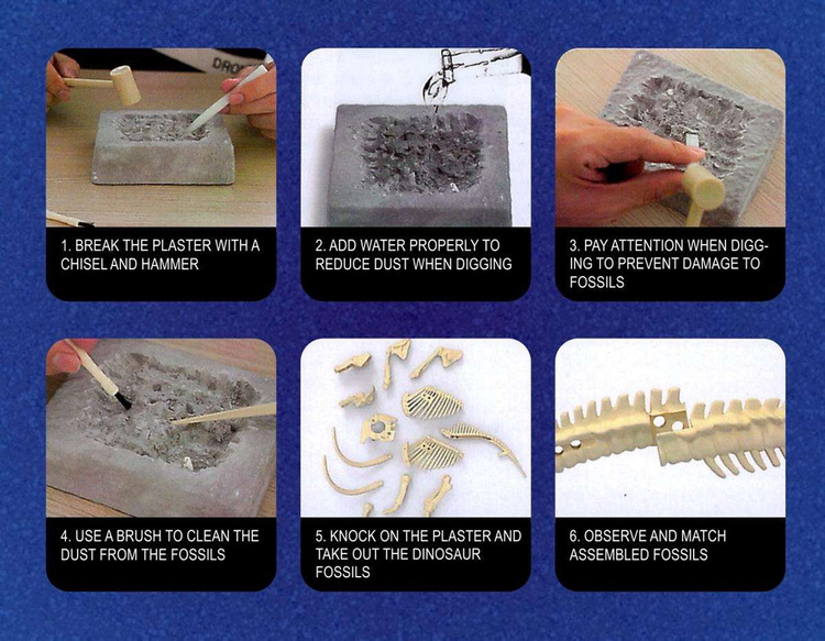 WOOPIE Wykopalisko 6w1 Dinozaur Szkielet Mały Archeolog 6 szt.