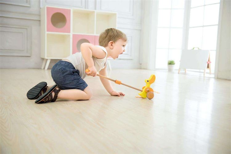 Pchacz Kaczuszka Drewniana Classic World EKO